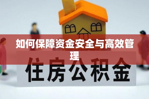 芒康如何保障资金安全与高效管理