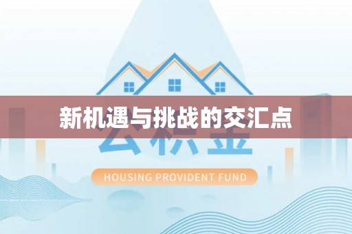 芒康新机遇与挑战的交汇点