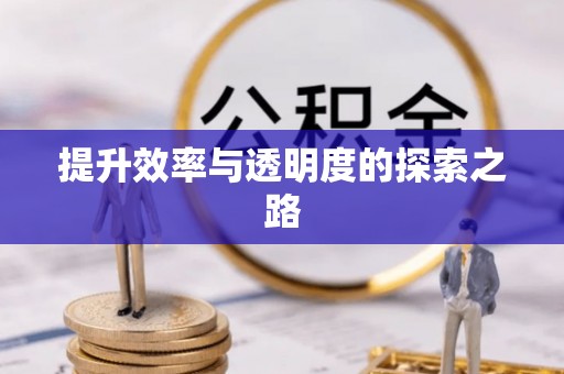 芒康提升效率与透明度的探索之路