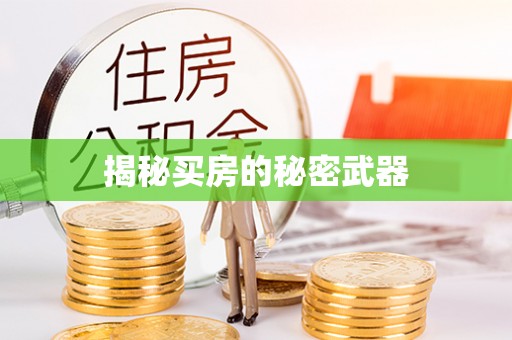 芒康揭秘买房的秘密武器