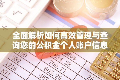 芒康全面解析如何高效管理与查询您的公积金个人账户信息
