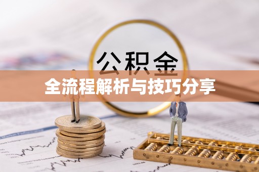 芒康全流程解析与技巧分享